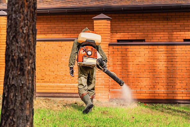 Trusted Rodent Control service in Fremont Hills, MO - Nex Pest Control